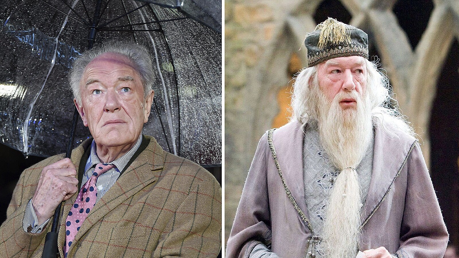 Muere Michael Gambon El Director Dumbledore De Harry Potter