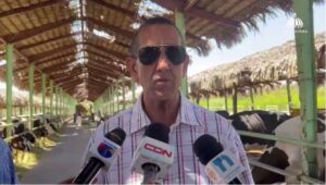 Agricultura certifica granja bovina en Azua; asegura mortalidad de vacas está en índices normales