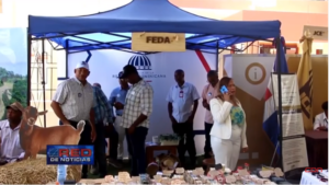 Dan inicio a tercera versión del Festival Cultural y Gastronómico Sureño