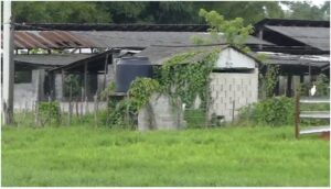 Exigen a Medio Ambiente intervenir granja en Francisco de Macorís por vertir desechos sólidos 