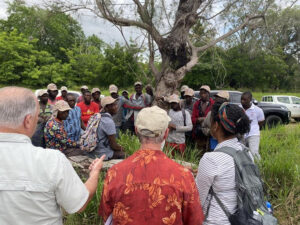 Diputados de Estados Unidos denuncian trabajadores haitianos sufren “acoso e intimidación”  en industria azucarera dominicana