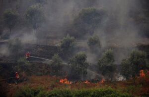 Muere piloto en accidente de avión mientras combatía fuego en Portugal