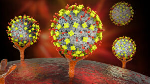 Descubren en China un nuevo virus capaz de transmitirse de animales a humanos 