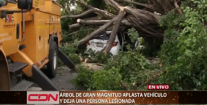 Árbol aplasta vehículo y deja una persona lesionada en Piantini 