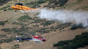 En EE.UU. hombre causa incendio al tratar de quemar araña