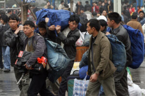 Elefantes ayudan a la Policía a detectar inmigrantes ilegales en China 