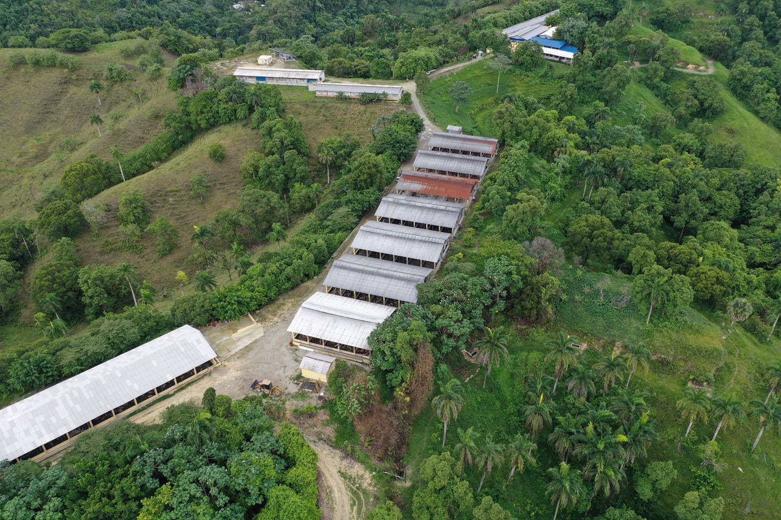 Ministerio de Medio Ambiente presentó informe de impacto ambiental en granja porcina LB de Jamao al Norte