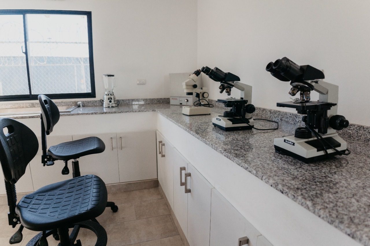 Agricultura inaugura laboratorio de sanidad vegetal en las instalaciones de DP World Caucedo