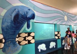 El Acuario Nacional, un espacio sumergido en el descuido 