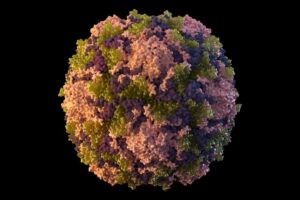 Detectan virus de polio en aguas cloacales en Nueva York 