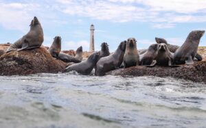 Uruguay cuenta con áreas marinas 