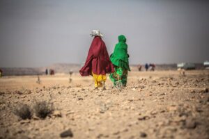 ONU: 730 niños murieron de hambre en Somalia este año y las cifras aumentarán
