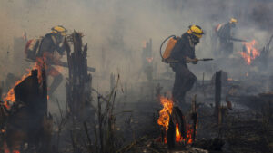 Incendios en la Amazonía brasileña rompen cifra récord en una década 