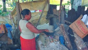 Fiona le destruyó su casita de madera y ahora están en la calle