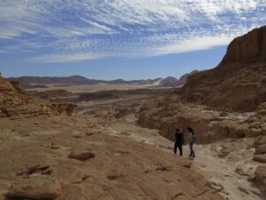 Egipto, sede de la COP27, restringe el activismo medioambiental, denuncia HRW