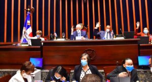 Plantean interpelar en el Senado a miembros de la Cámara de Cuentas