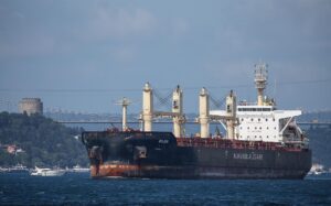 Ucrania exportó en agosto más grano por tierra que por el Mar Negro