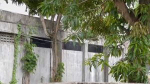 Denuncian empresa china atenta contra salud y medioambiente en San Cristóbal  