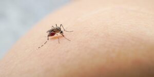 En lo que va de año 26 personas han muerto por dengue; se han registrado unos 4,600 casos