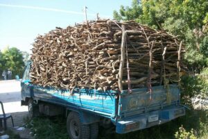Alcalde de Bahoruco condena la extracción indiscriminada de Guaconejo