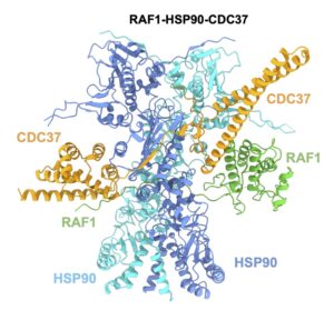 Un paso hacia más fármacos para el cáncer de pulmón, al desvelar una proteína
