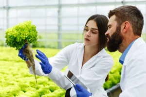 FAO asegura China tiene garantizada la seguridad alimentaria 