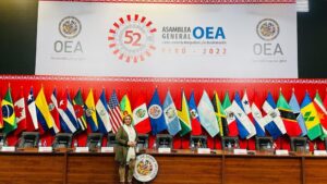 Diputada Soraya Suarez ratifica ante OEA compromiso RD con la vida