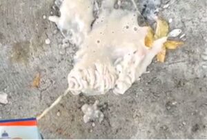 Denuncian estudiantes reciben alimentos no aptos para consumo humano en La Descubierta