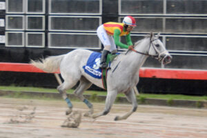 La consistente yegua importada Run Cami Run (Usa) lució grande ante sus rivales al ganar la quinta versión del Clásico Fanático Hípico.