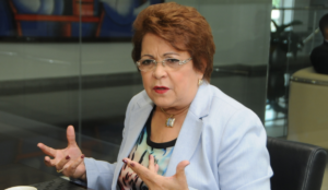 PLD garantiza otros partidos no podrán influir en consulta para escoger su candidato