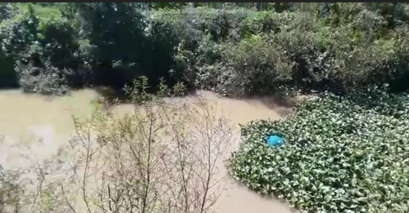 Hallan cadáver amarrado y flotando en canal de riego en Monte Cristi