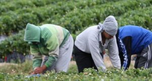 Mujeres productoras campesinas reclaman acceso al crédito y mejores oportunidades