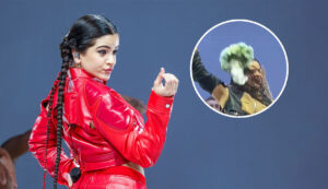 Un fan golpeó a Rosalía con un ramo de flores en pleno show