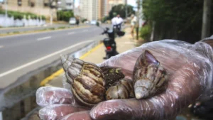 Alerta en Venezuela por 