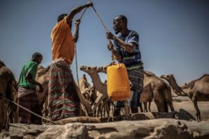 Más de 5,000 millones de personas tendrán problemas de acceso al agua en 2050