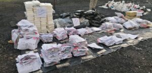 RD ha incinerado más de 32 toneladas de drogas en lo que va de 2022