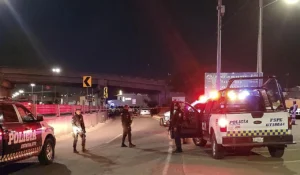 México: 9 muertos tras balacera en un bar atribuida al narco 