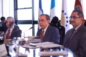 CMCA elige al gobernador Héctor Valdez Albizu como presidente 