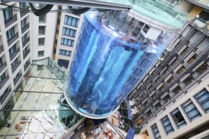Estalla un enorme acuario con más de 1,500 peces en Berlín