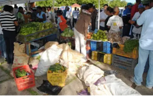 Frente Agropecuario PRM realiza feria navideña en SDE