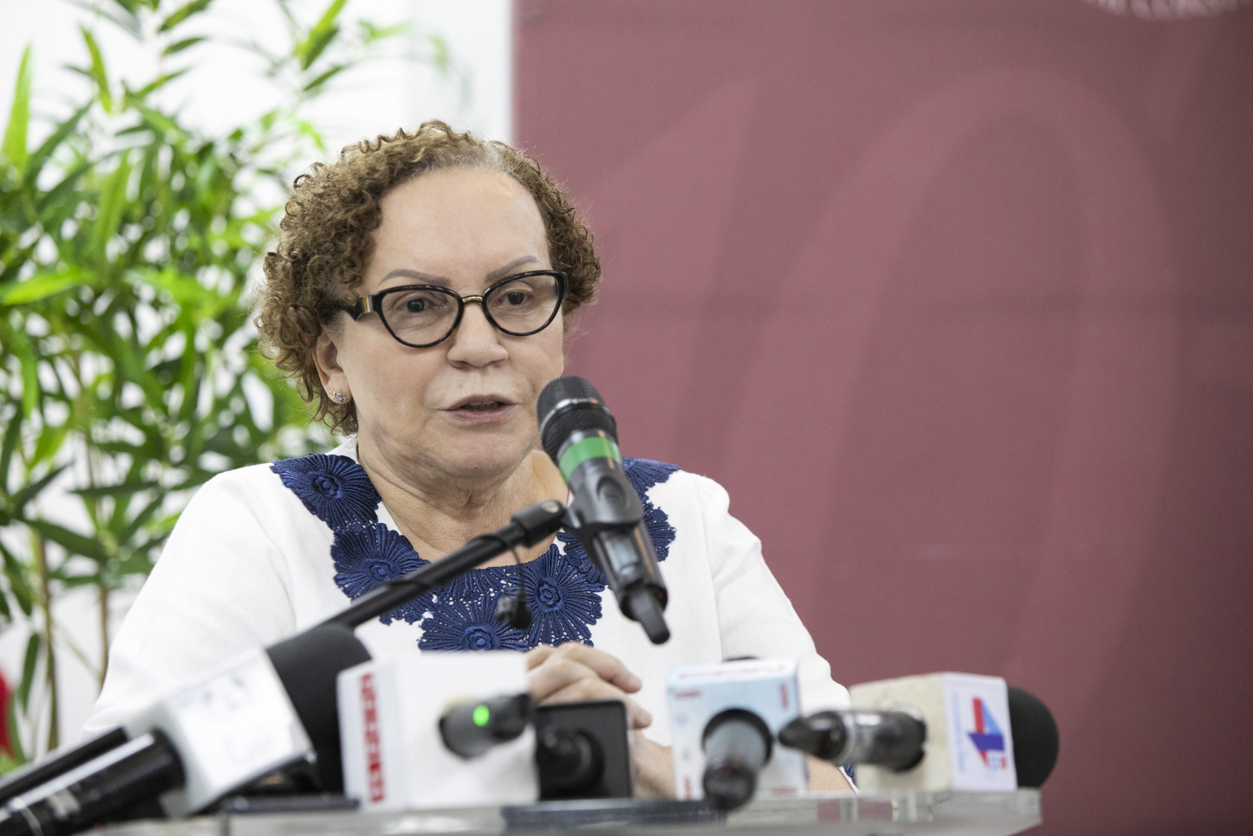 Procuradora rechaza MP sea instrumento de venganza política