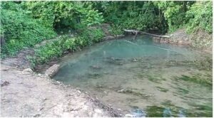 Piden que INAPA y Medio Ambiente se integren a reforestación de río Santa Capuza