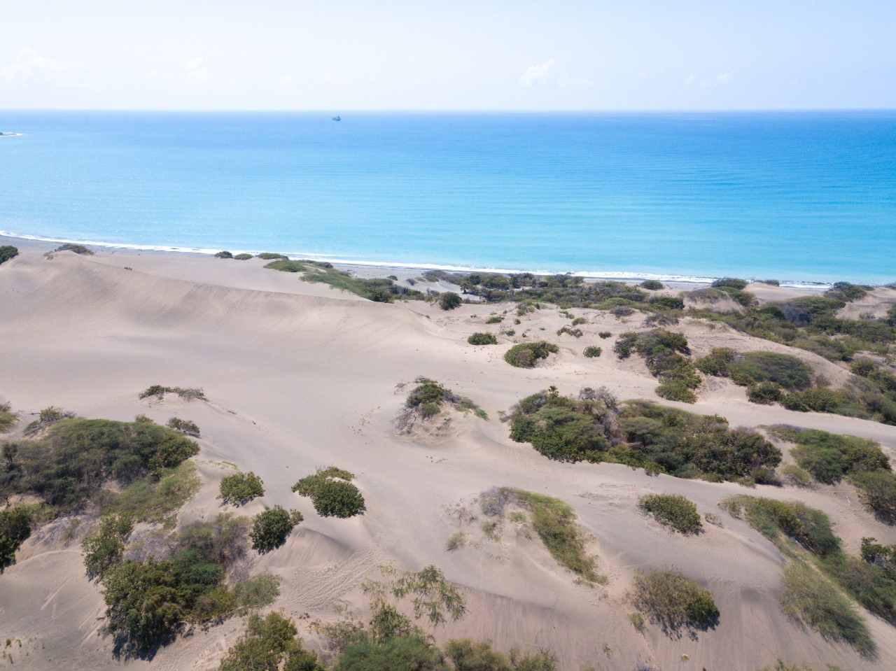 Medio Ambiente Las Dunas