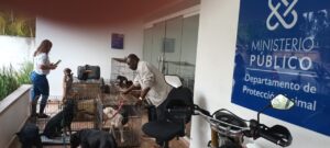 La Proedemaren rescata del maltrato a 21 perros hacinados en casa de Arroyo Hondo 