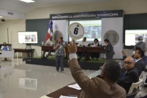 Aduanas recauda RD$106,184,276.13 en subastas públicas del 2022