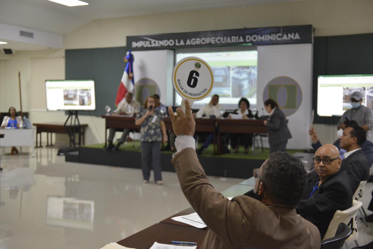 Aduanas recauda RD$106,184,276.13 en subastas públicas del 2022