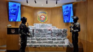 Autoridades incautan en el año más de 31 toneladas de drogas