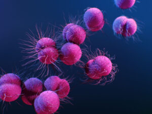 La gonorrea se está volviendo cada vez más resistente a los antibióticos. Foto: Fuente externa 