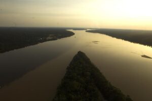 Alemania ofrece 35 millones de euros a Brasil de uso inmediato en la Amazonía