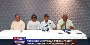 Arroceros expresan preocupación por posible desaparición del sector